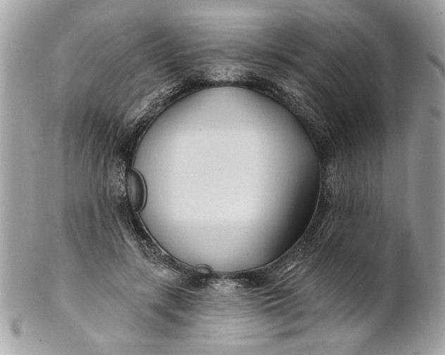 X0000100870547200807071105