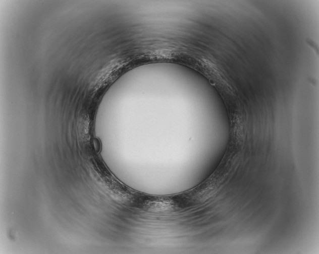 X0000100870548200807071105