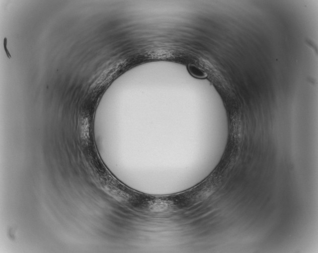 X0000100870549200807071105