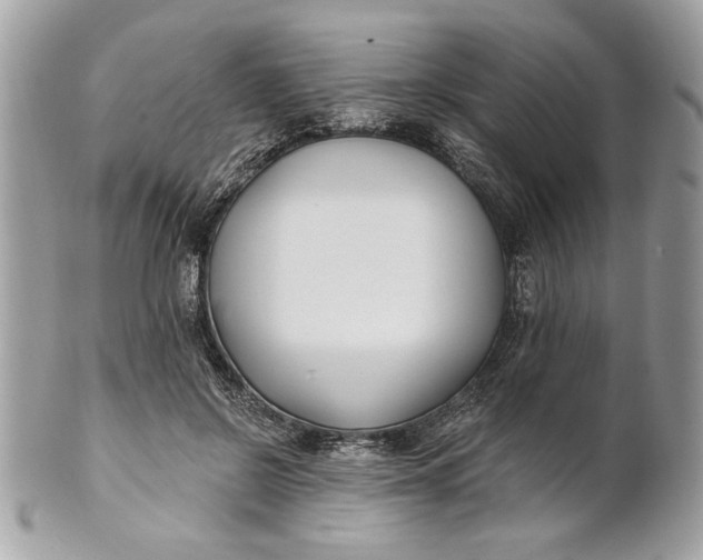 X0000100870550200807071105