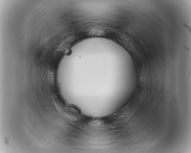 X0000100870551200807071105