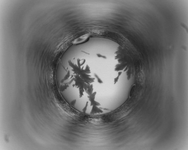 X0000100870552200807071105