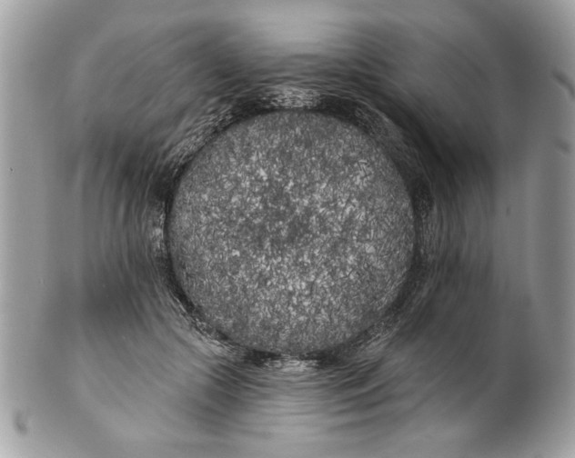 X0000100870553200807071105