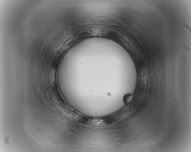 X0000100870554200807071105