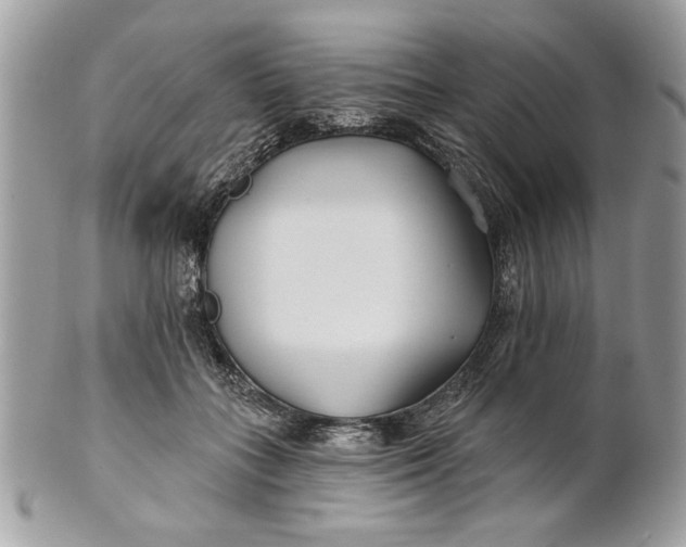 X0000100870555200807071105