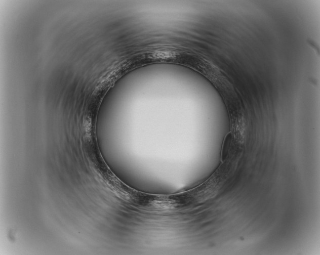 X0000100870556200807071105