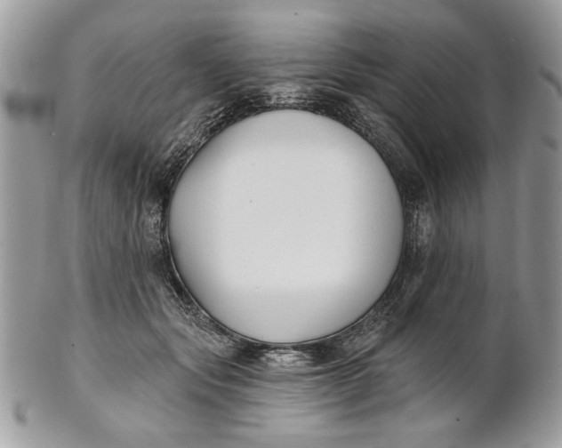 X0000100870557200807071105