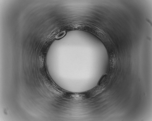 X0000100870558200807071105