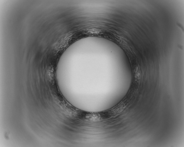 X0000100870559200807071105