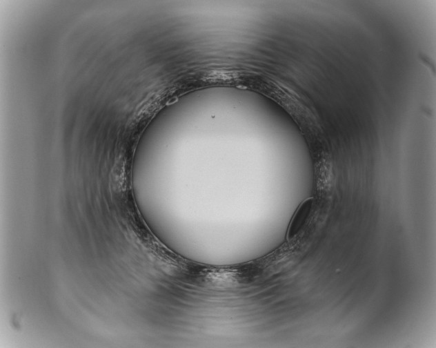 X0000100870560200807071105