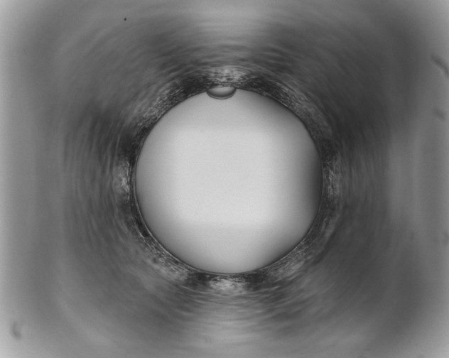 X0000100870561200807071105