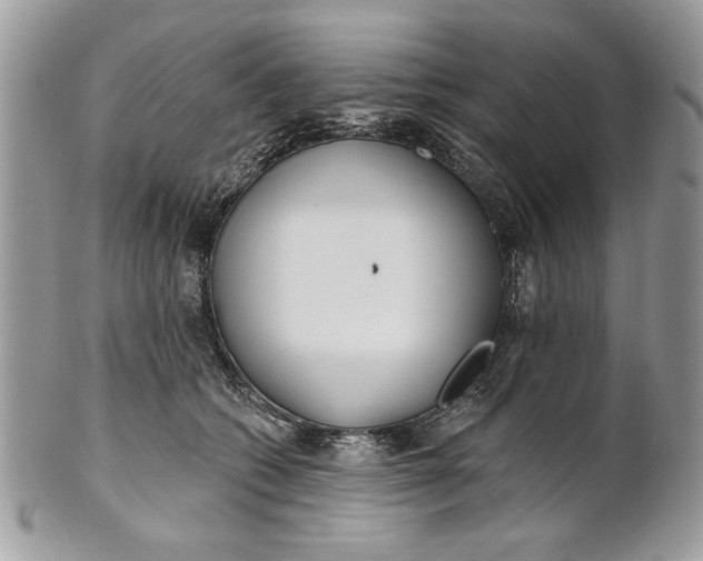 X0000100870562200807071105