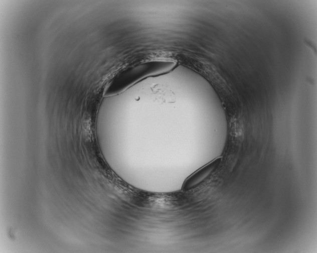 X0000100870564200807071105