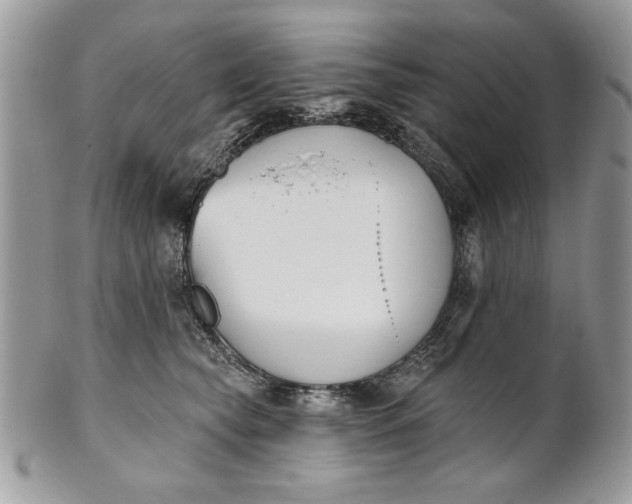 X0000100870565200807071105