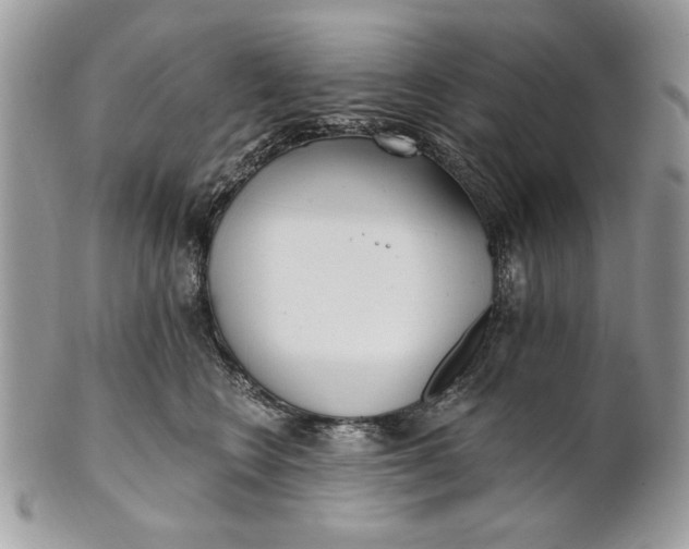 X0000100870566200807071105