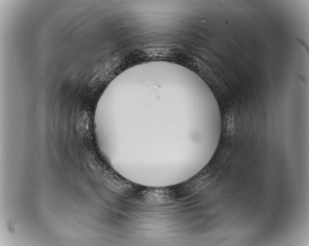 X0000100870567200807071105