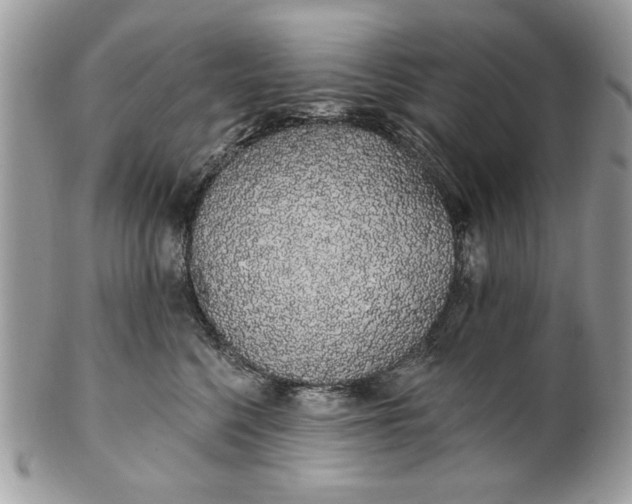 X0000100870568200807071105