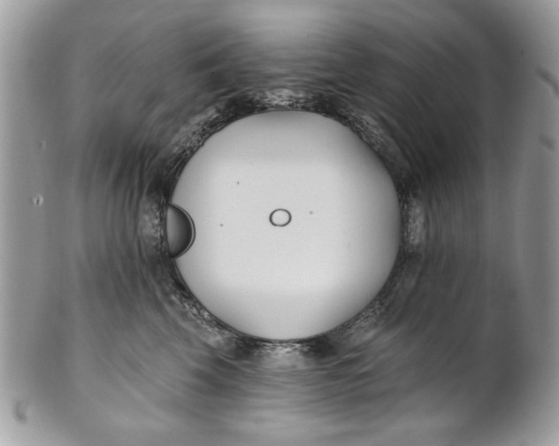 X0000100870569200807071105