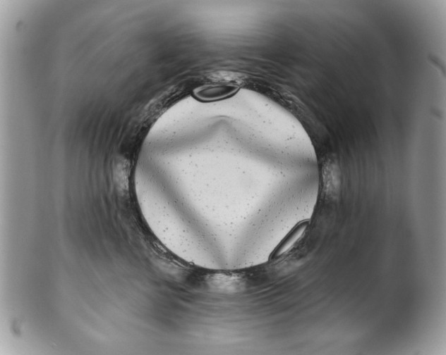 X0000100870570200807071105