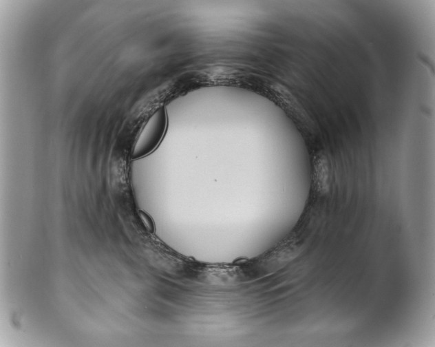 X0000100870571200807071105