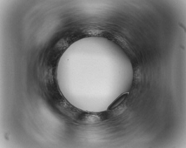 X0000100870572200807071105