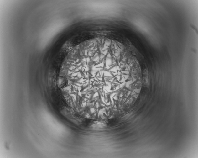 X0000100870573200807071105