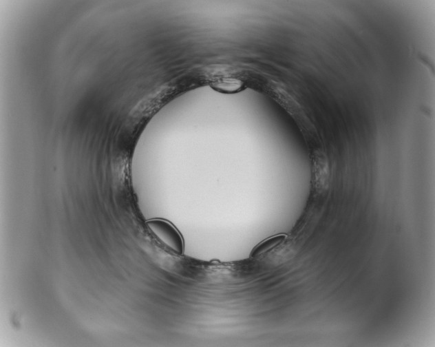 X0000100870574200807071105