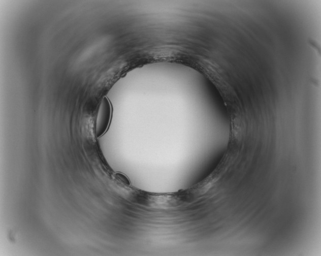 X0000100870575200807071105