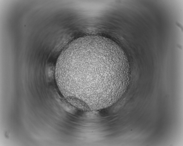 X0000100870576200807071105