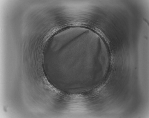 X0000100870577200807071105