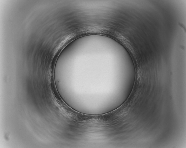 X0000100870578200807071105