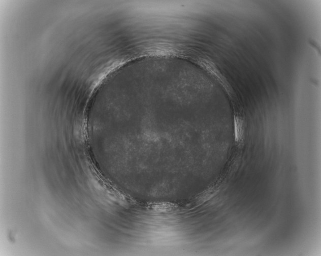 X0000100870579200807071105