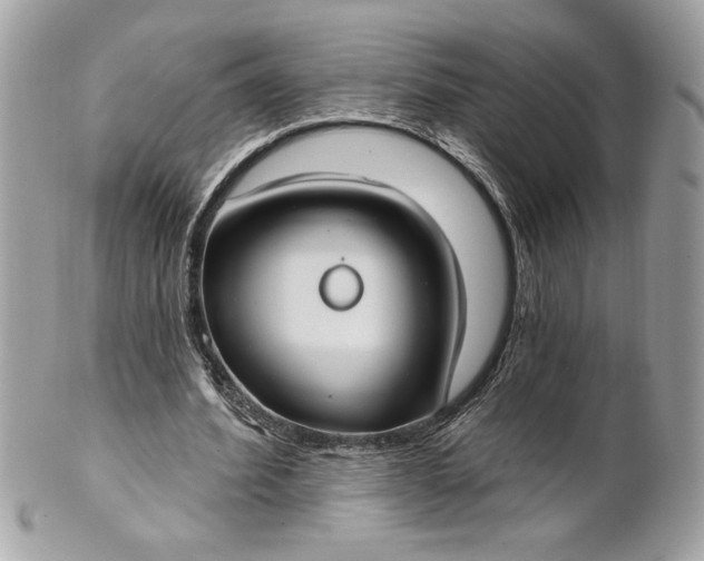 X0000100870580200807071105