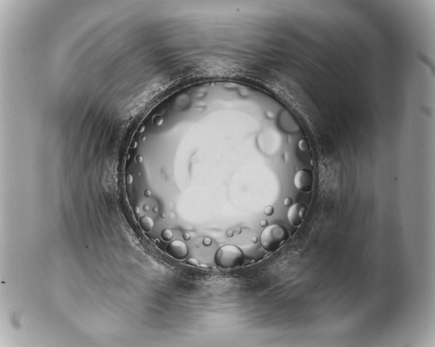 X0000100870581200807071105