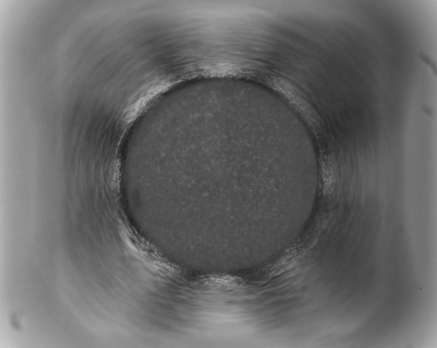 X0000100870583200807071105