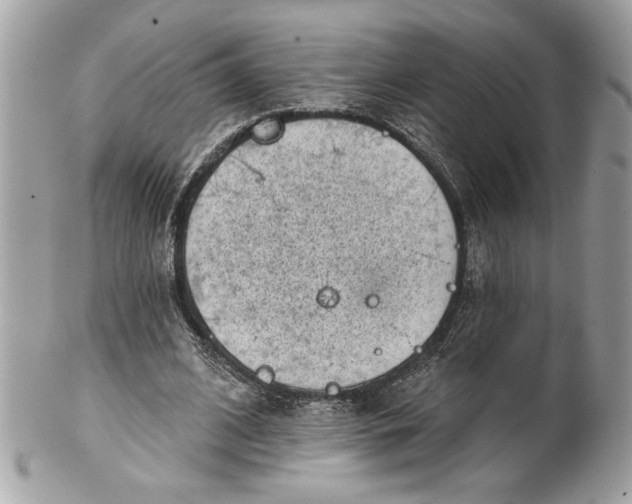 X0000100870584200807071105