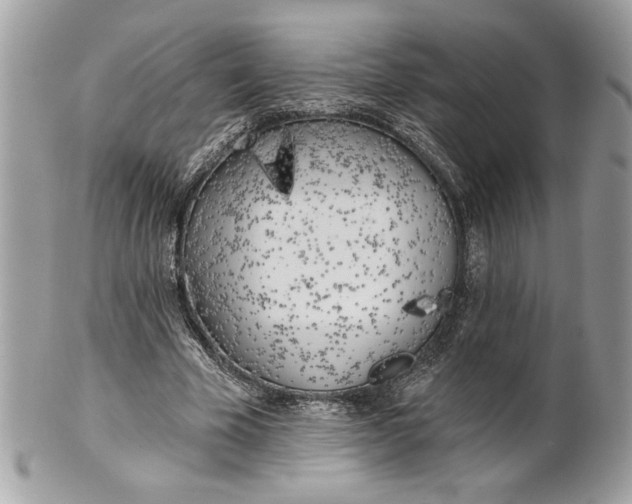 X0000100870585200807071105