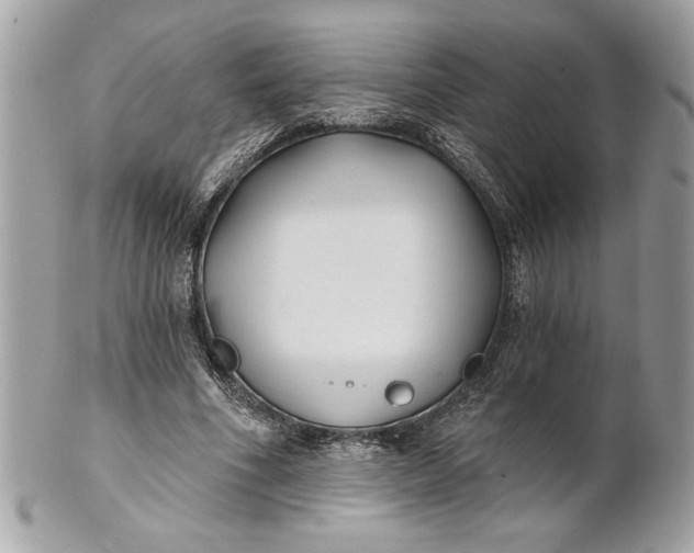 X0000100870586200807071105