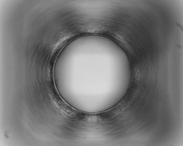 X0000100870587200807071105