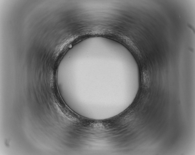 X0000100870588200807071105