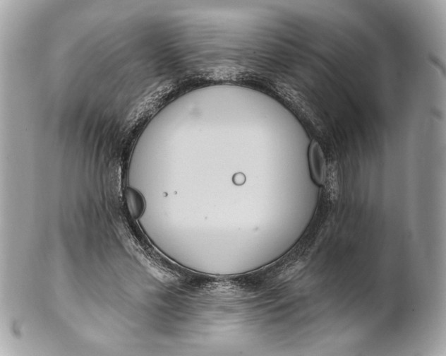 X0000100870589200807071104