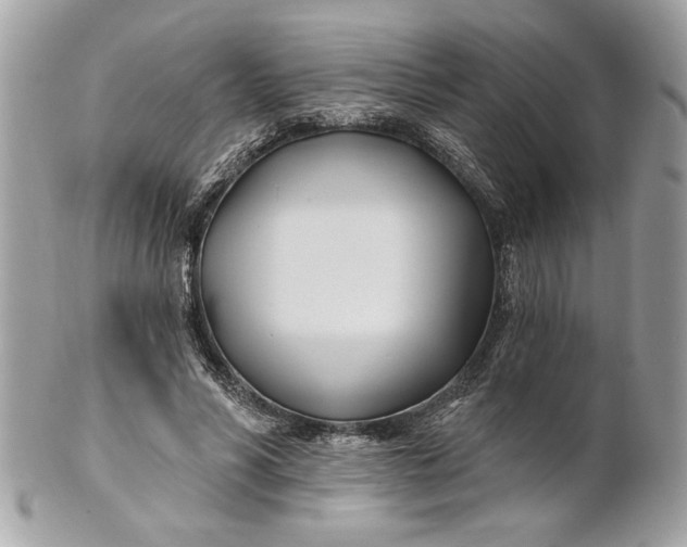 X0000100870590200807071104