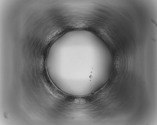 X0000100870591200807071104