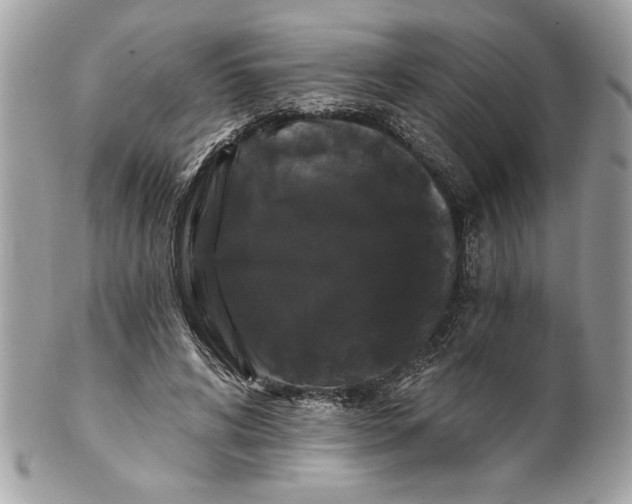 X0000100870592200807071104