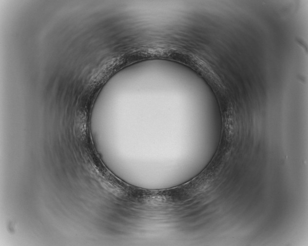 X0000100870593200807071104