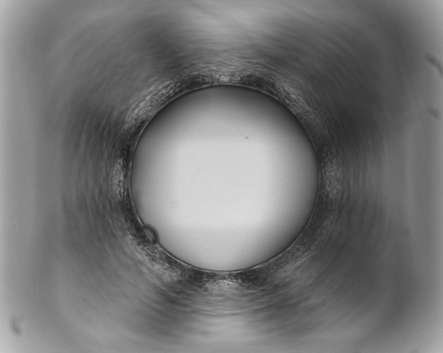 X0000100870594200807071104