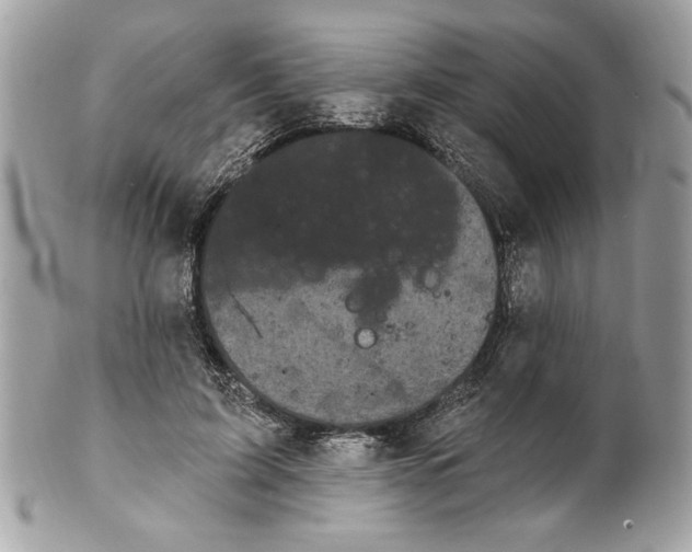 X0000100870595200807071104