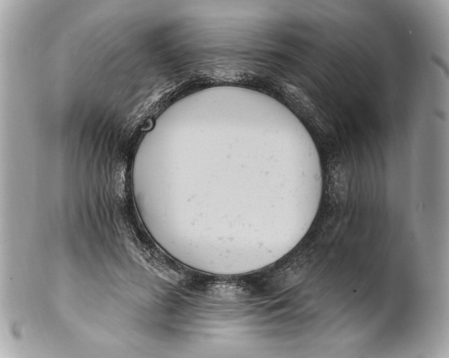 X0000100870596200807071104