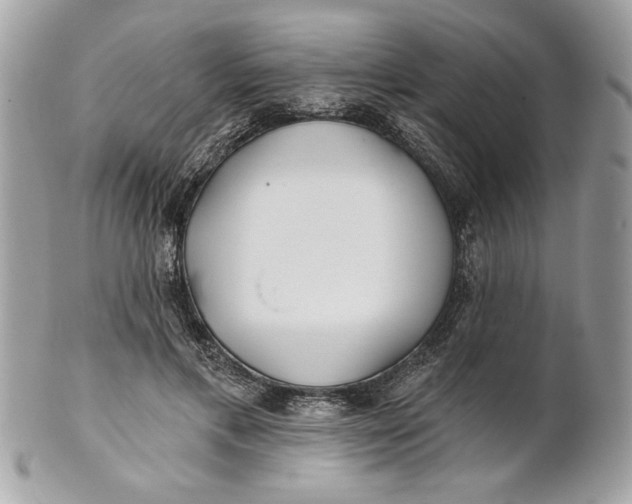 X0000100870597200807071104