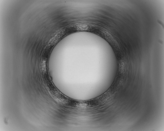 X0000100870598200807071104